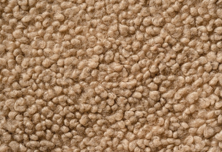 Up close picture of carpet